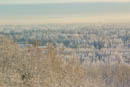 Image ref: _DSC0253
