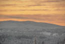 Image ref: _DSC0266