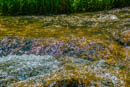 Image ref: _DSC0401