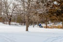 So, to recap: a free snowmobile and a garden big enough to ride it in. Damian attempts to get some speed up.