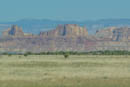 Image ref: _DSC0166